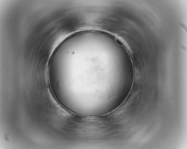 X0000093381295200710251208