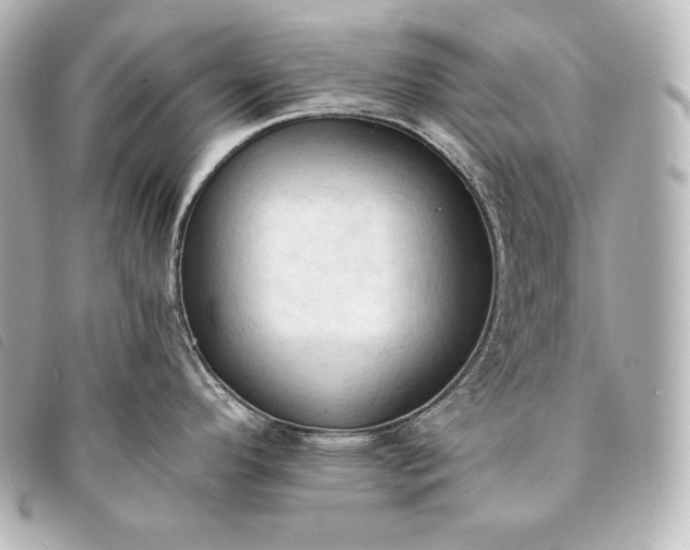 X0000093381296200710251208