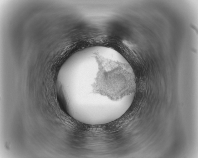 X0000093381297200710251207