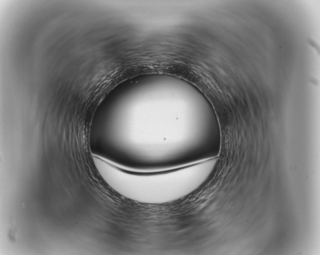 X0000093381298200710251207