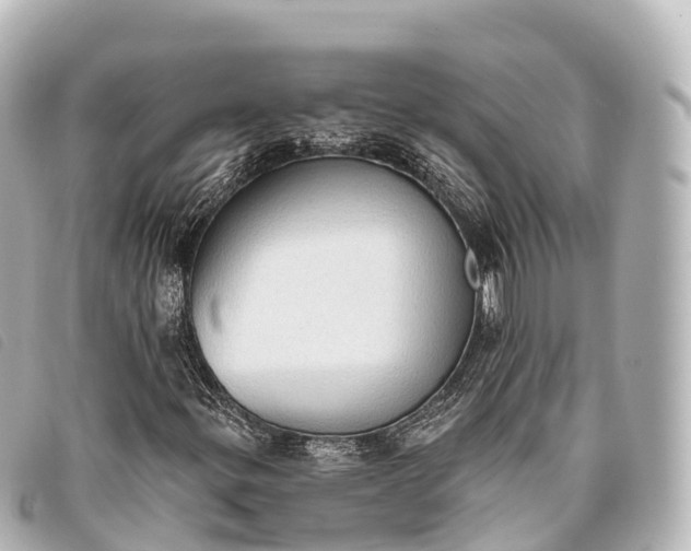 X0000093381299200710251207