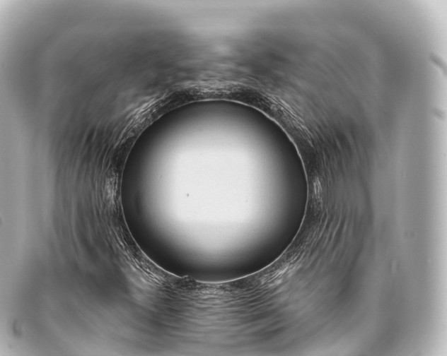 X0000093381300200710251207