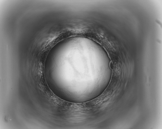 X0000093381301200710251207