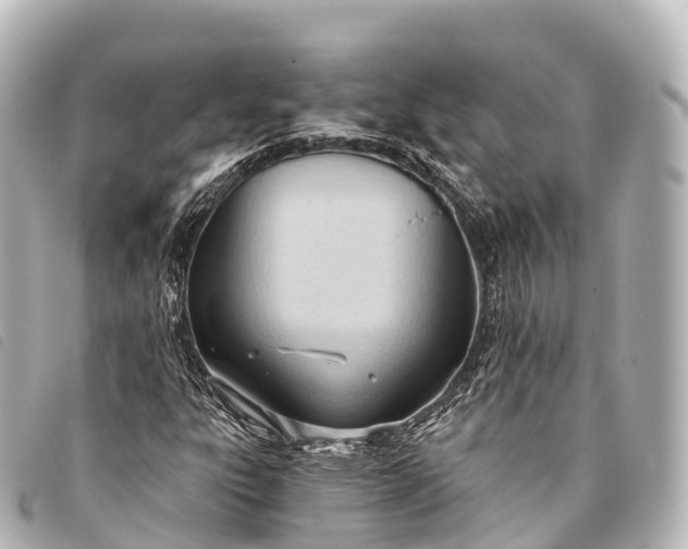 X0000093381303200710251207