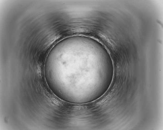 X0000093381305200710251207