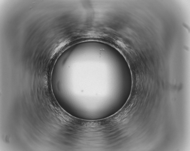 X0000093381307200710251207