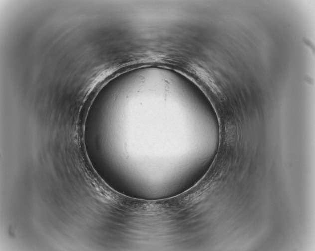 X0000093381308200710251207