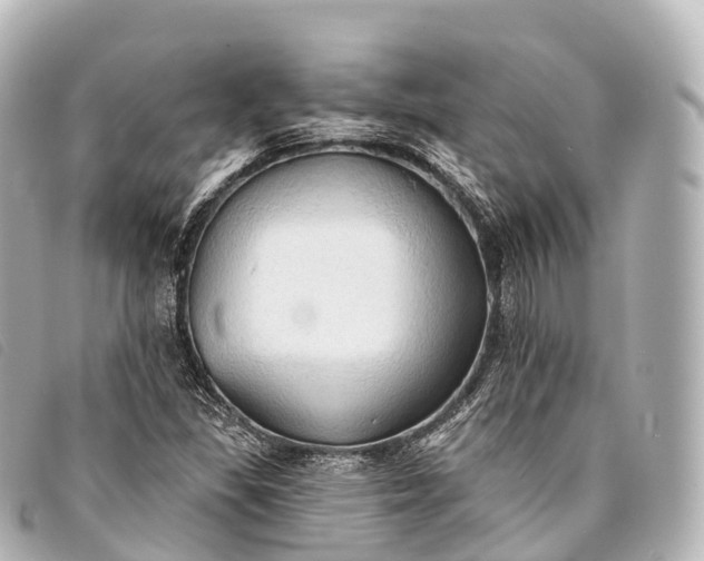 X0000093381309200710251208