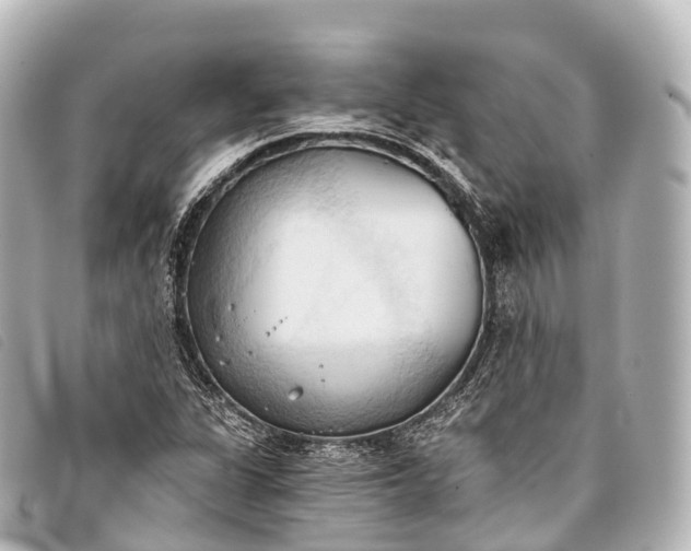 X0000093381311200710251208