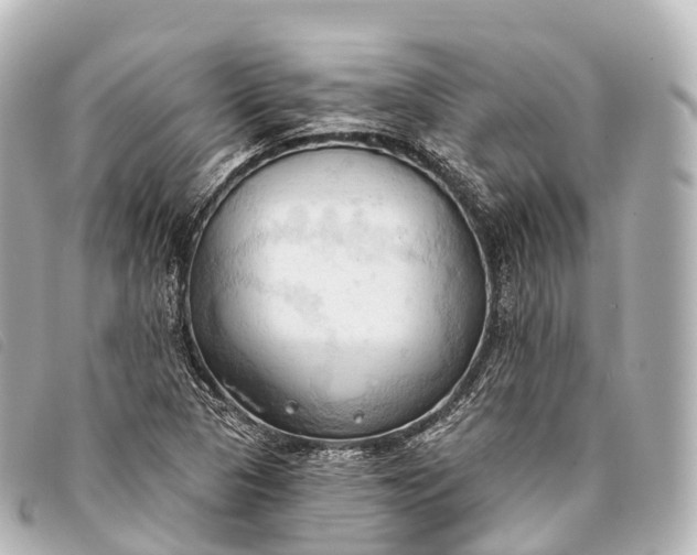 X0000093381313200710251208