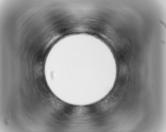 X0000093381314200710251208