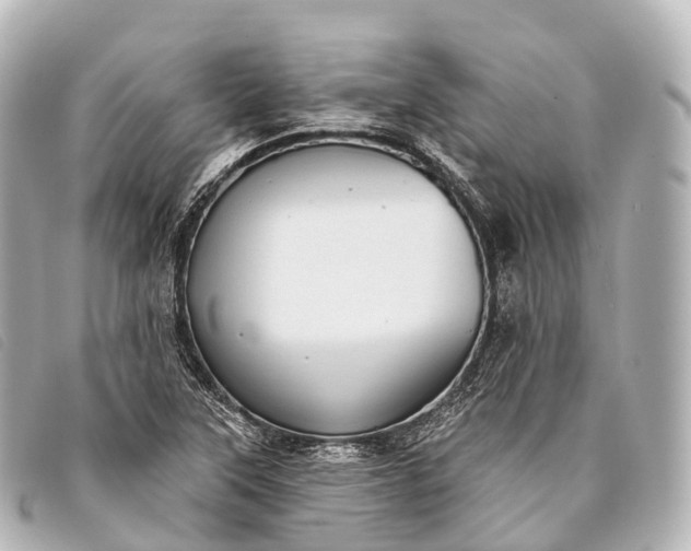 X0000093381315200710251208