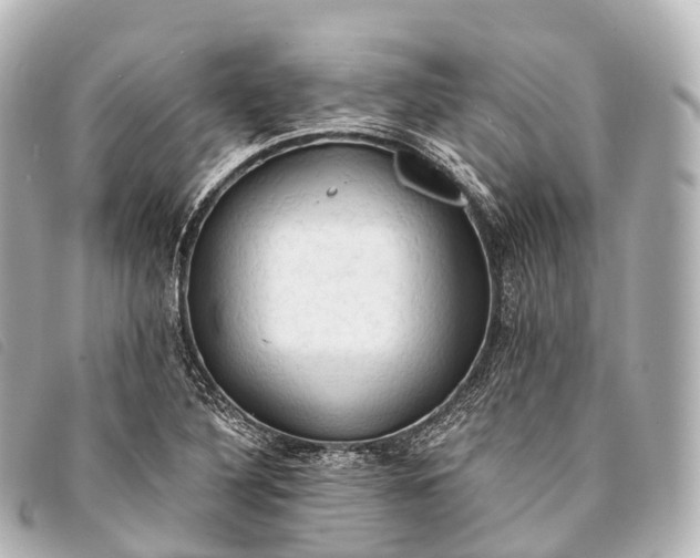 X0000093381316200710251208