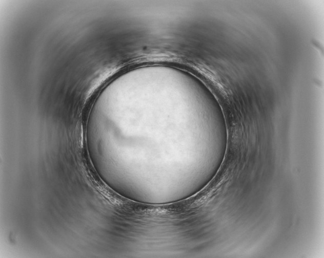 X0000093381317200710251208