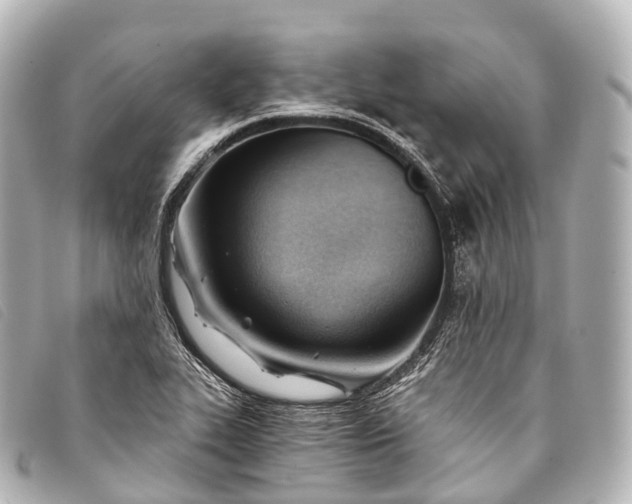 X0000093381319200710251208