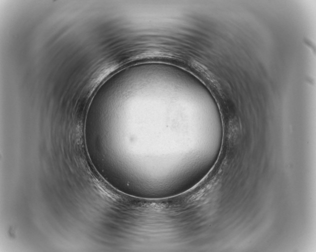 X0000093381321200710251208