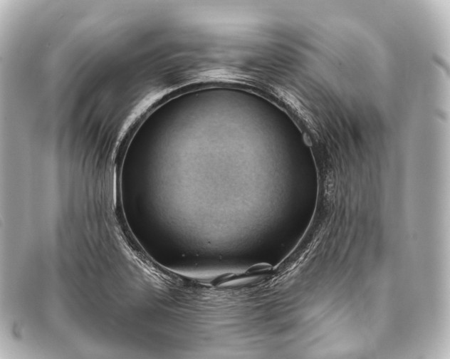 X0000093381323200710251208