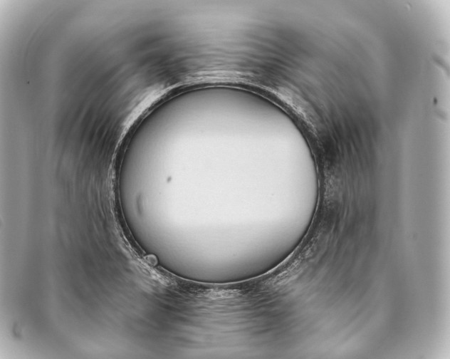 X0000093381325200710251208