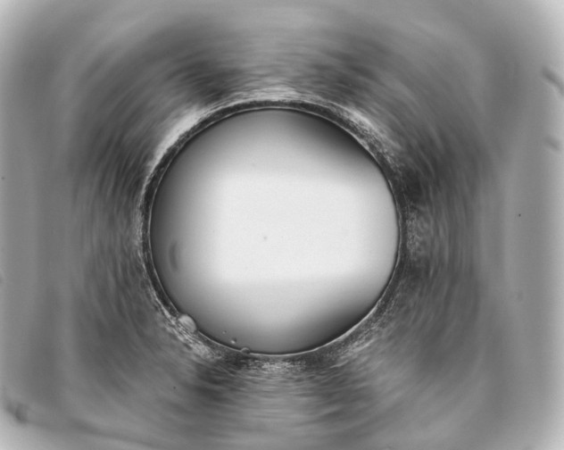 X0000093381326200710251208