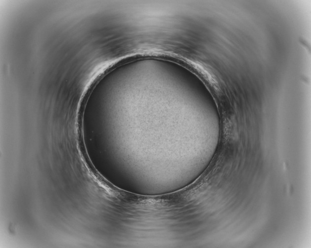 X0000093381327200710251208