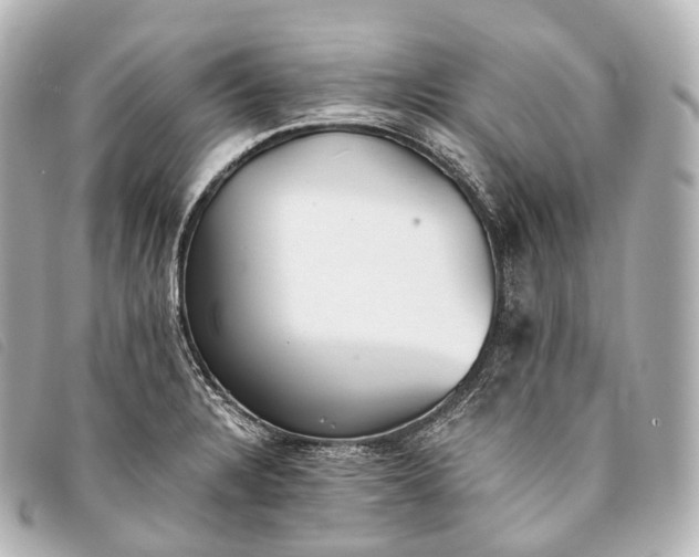 X0000093381328200710251208