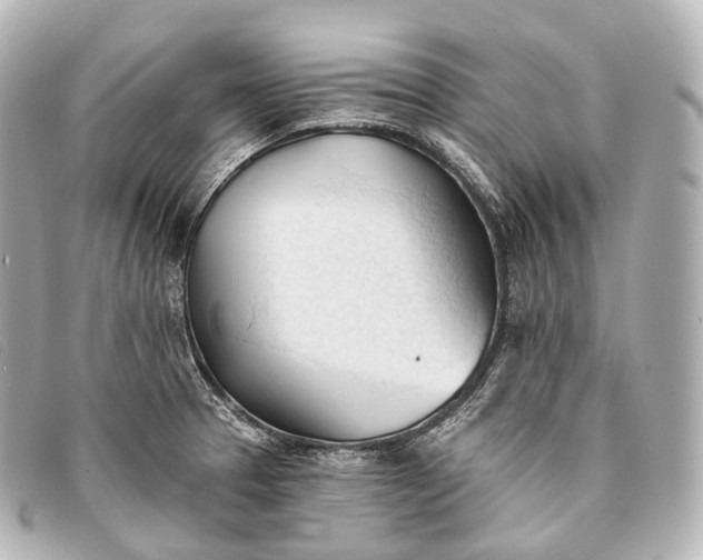 X0000093381329200710251208