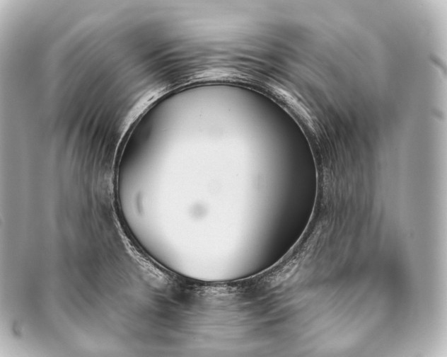 X0000093381330200710251208