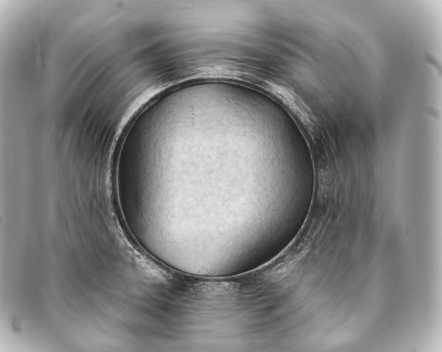 X0000093381331200710251208