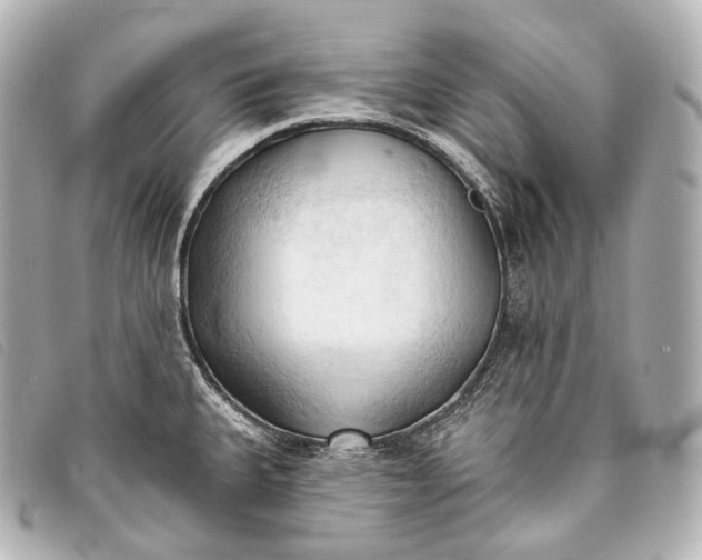 X0000093381335200710251208