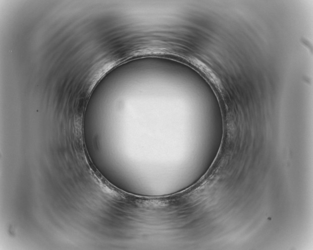 X0000093381337200710251208