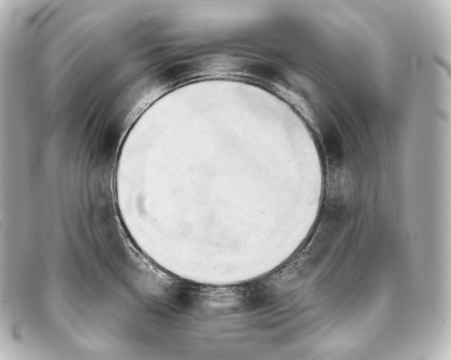 X0000093381338200710251208