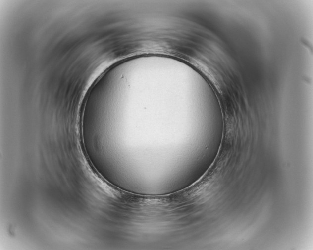 X0000093381339200710251208