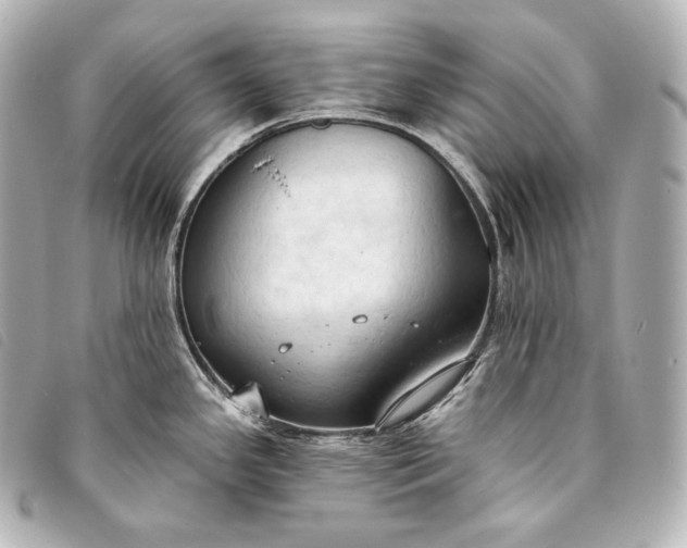 X0000093381341200710251208