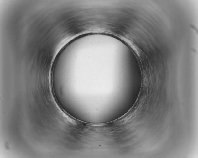 X0000093381343200710251208