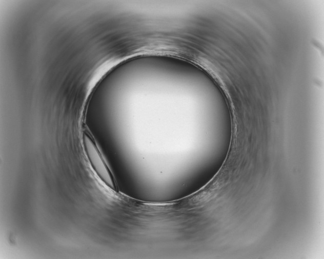 X0000093381344200710251208