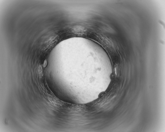 X0000093381347200710251207