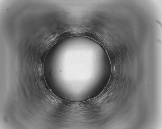 X0000093381348200710251207