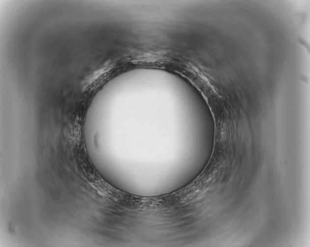 X0000093381350200710251207