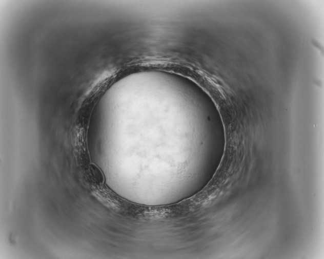 X0000093381351200710251207