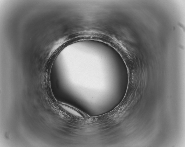 X0000093381352200710251207