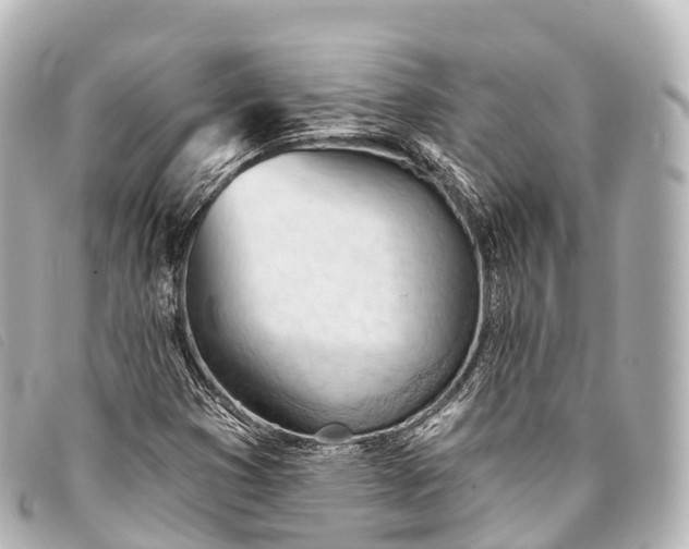 X0000093381353200710251207