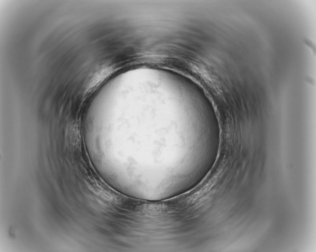 X0000093381354200710251207