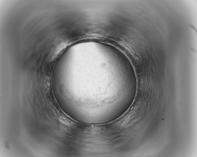 X0000093381355200710251207