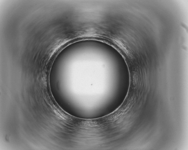 X0000093381356200710251207