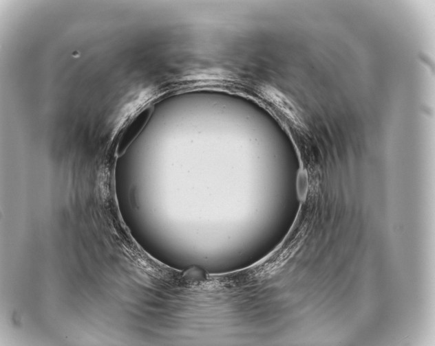 X0000093381357200710251207