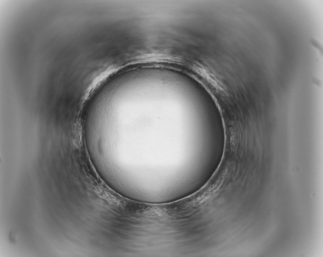 X0000093381358200710251207