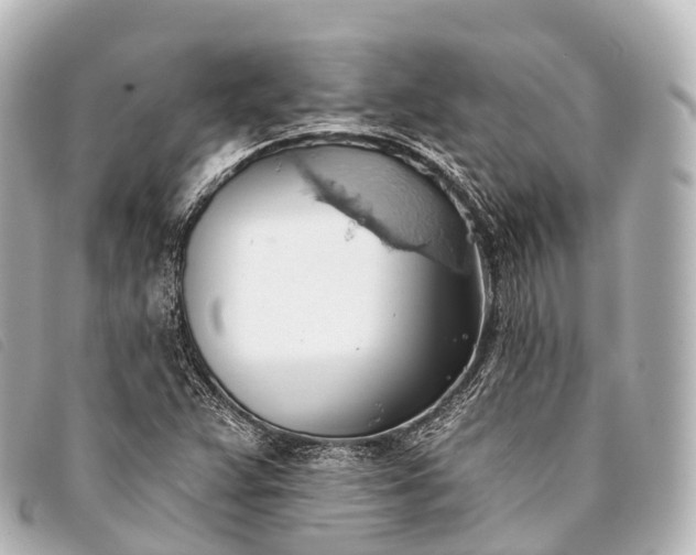 X0000093381359200710251207