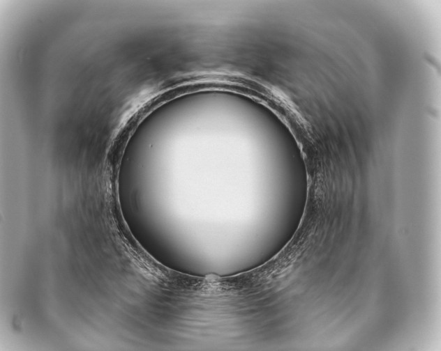 X0000093381360200710251207