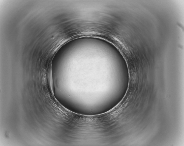 X0000093381361200710251207