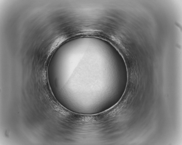 X0000093381362200710251207